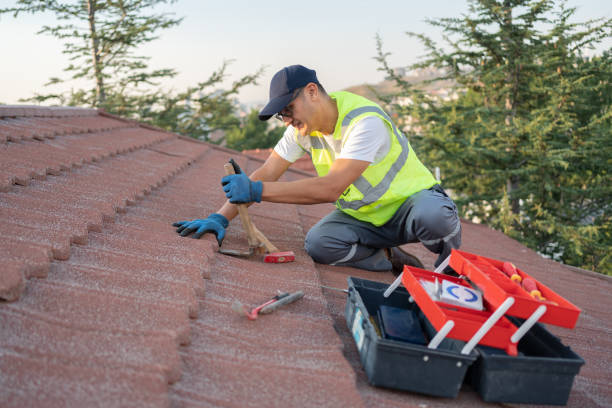 Best Flat Roof Repair Services  in Gasport, NY