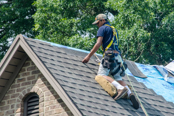Quick and Trustworthy Emergency Roof Repair Services in Gasport, NY